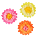 Paberdekoratsioon värvilised Lilled (3tk)