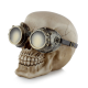 prillidega Dekratiivkolju Steampunk Skull