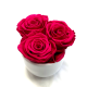 Hot Pink Спящие Розы в керамической белой вазочке