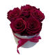 5 Velvet Plum Спящих Роз в керамической вазе