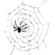Гигантская паутина с пауком