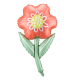 Фольгированный Шарик Flower (53 x 96см)