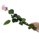 Розовая Спящая Роза LUXE 50см