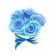 5 Голубых Спящих Роз в керамической вазе