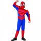 детский костюм SPIDER HERO DLX (110/120см)