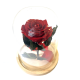 Красная Спящая Роза под стеклянным куполом, XL