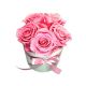 5 Baby Pink Спящих Роз в керамической вазе
