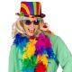 цветная Шляпа